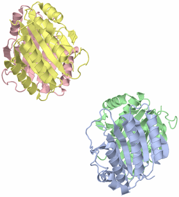 Image Asymmetric Unit
