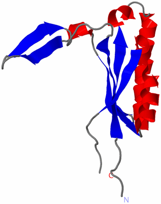 Image Asymmetric Unit