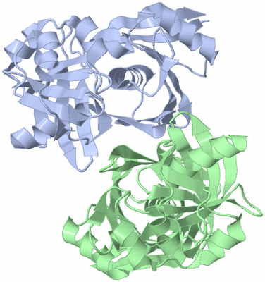 Image Asymmetric Unit