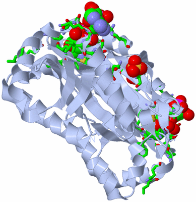 Image Biol. Unit 1 - sites