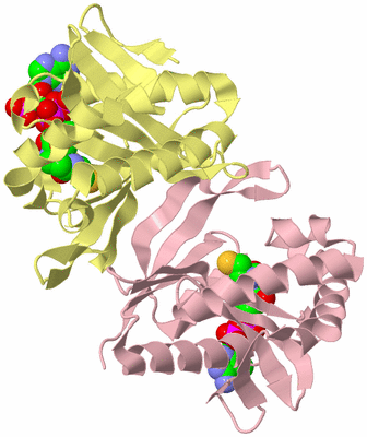 Image Biological Unit 2