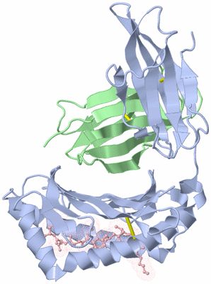 Image Biological Unit 1