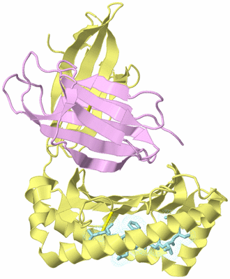 Image Biological Unit 2