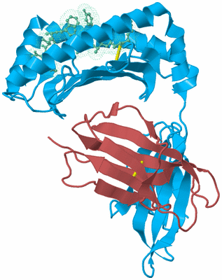 Image Biological Unit 4