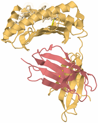 Image Biological Unit 3