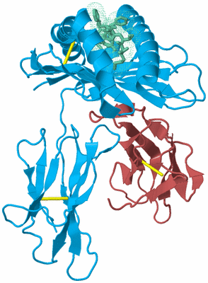 Image Biological Unit 4