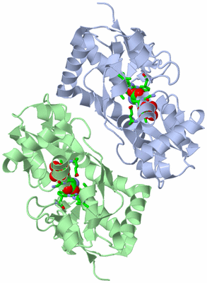 Image Asym./Biol. Unit - sites