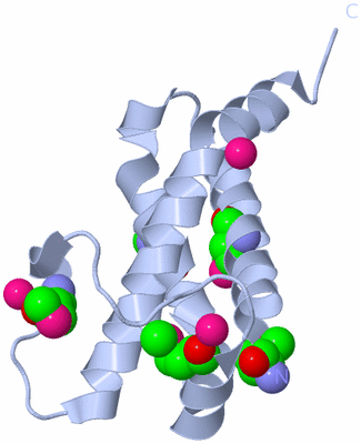 Image Biological Unit 3