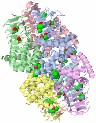 Image Asym./Biol. Unit