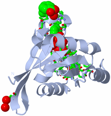 Image Biol. Unit 1 - sites