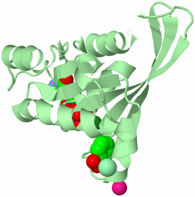 Image Biological Unit 2