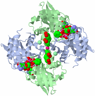 Image Biological Unit 3