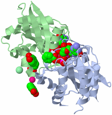 Image Biological Unit 4
