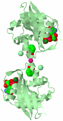 Image Biological Unit 5