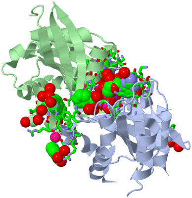 Image Asym. Unit - sites
