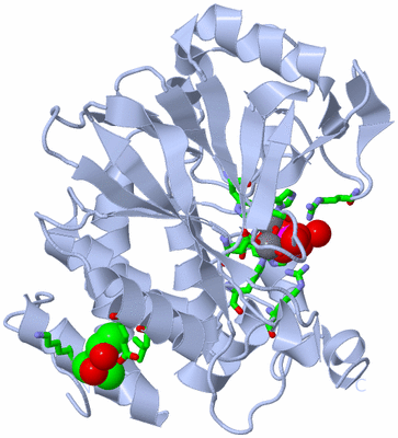 Image Biol. Unit 1 - sites