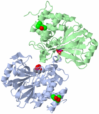 Image Biological Unit 3