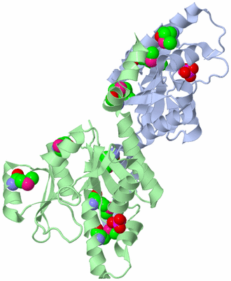 Image Biological Unit 1