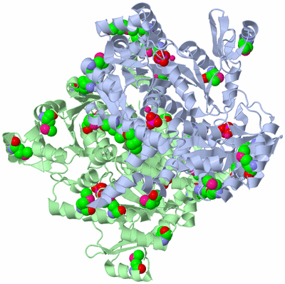 Image Biological Unit 2