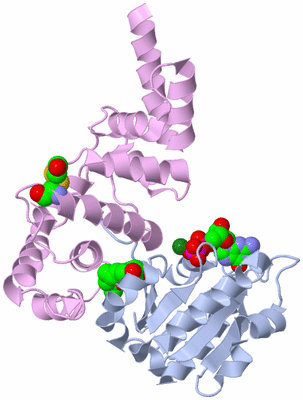 Image Asym./Biol. Unit