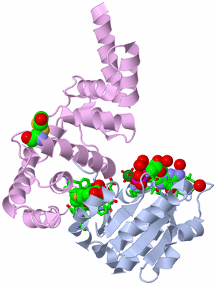 Image Asym./Biol. Unit - sites