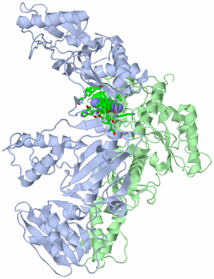 Image Asym./Biol. Unit - sites