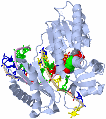 Image Biological Unit 1