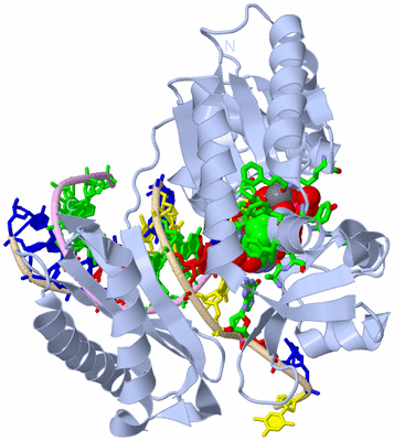 Image Biol. Unit 1 - sites