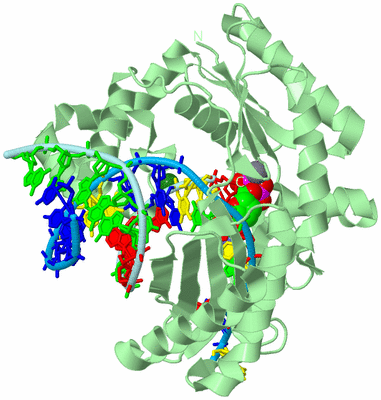 Image Biological Unit 2