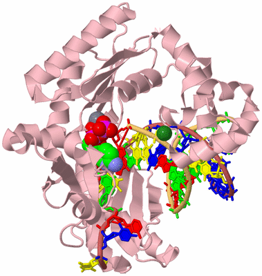 Image Biological Unit 3