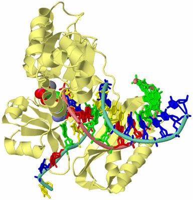 Image Biological Unit 4