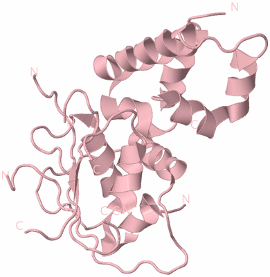 Image Biological Unit 3