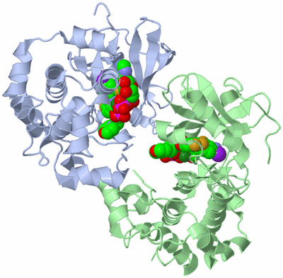 Image Asym./Biol. Unit