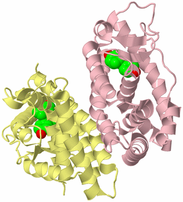 Image Biological Unit 2