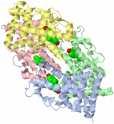 Image Biological Unit 3