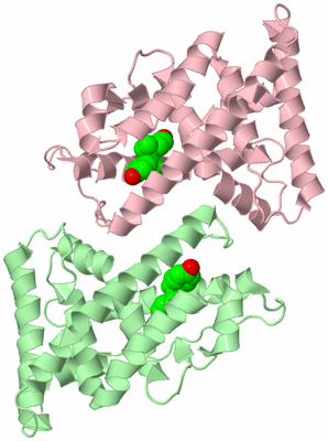 Image Biological Unit 4