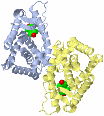 Image Biological Unit 5