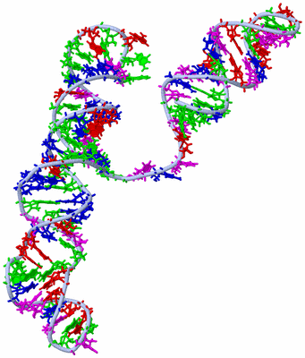 Image NMR Structure - model 1