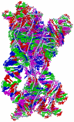 Image NMR Structure - all models