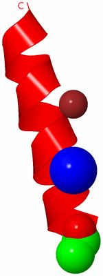 Image Asymmetric Unit