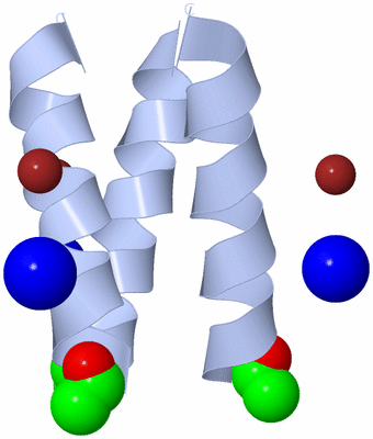 Image Biological Unit 1