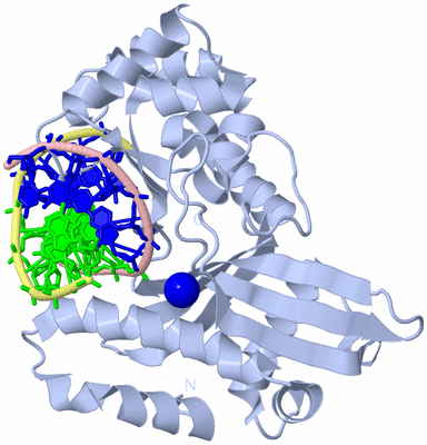 Image Biological Unit 1