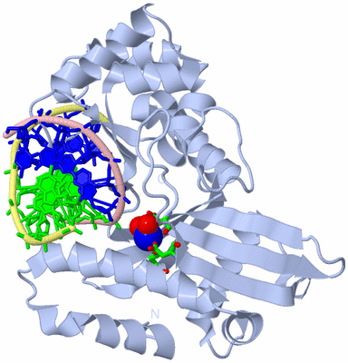 Image Biol. Unit 1 - sites