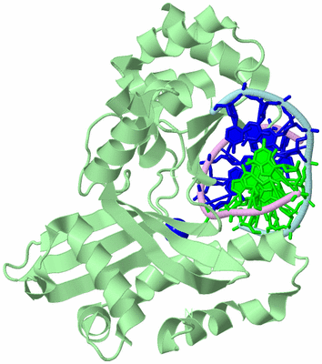 Image Biological Unit 2