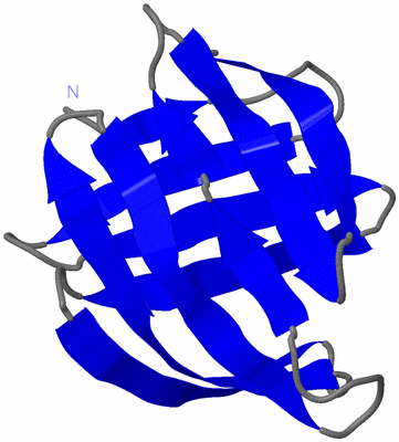 Image NMR Structure - model 1