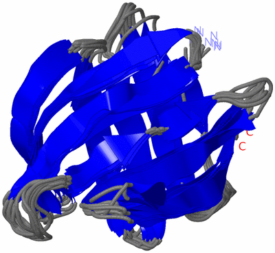 Image NMR Structure - all models