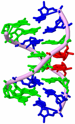 Image Biological Unit 3