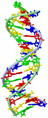 Image NMR Structure - model 1