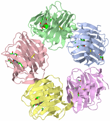 Image Asym./Biol. Unit - sites