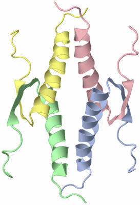 Image NMR Structure - model 1